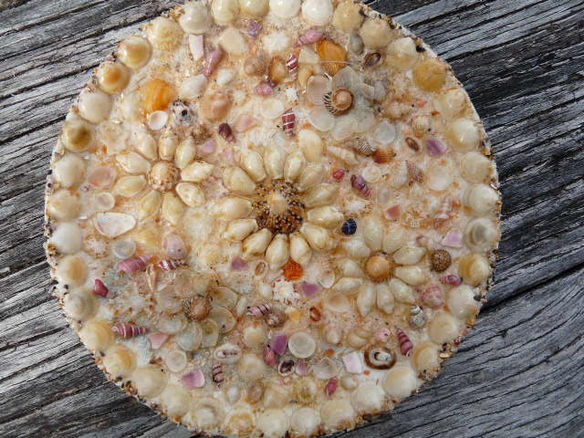 Shell art plate